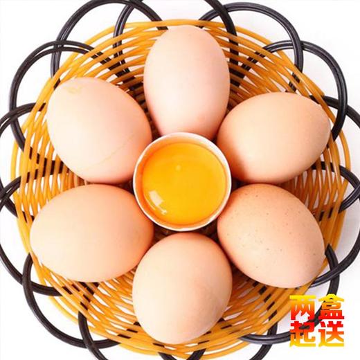 田园生态土鸡蛋（两盒起送） 商品图2