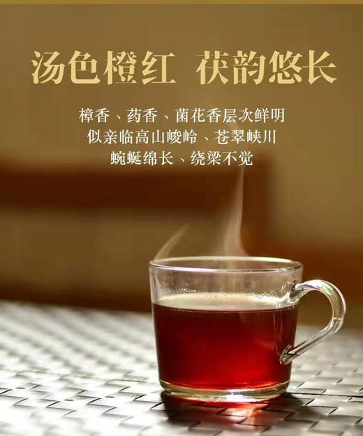 泾渭茯茶厚茯2.7kg茯砖茶 商品图13