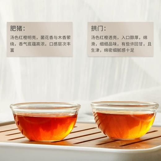 泾渭茯茶生肖茶 肥猪拱门660g*2 商品图4