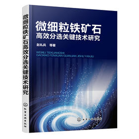 微细粒铁矿石高效分选关键技术研究