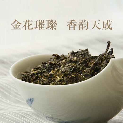 泾渭茯茶生肖茶 肥猪拱门660g*2 商品图2