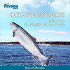 禾泱泱 三文鱼QQ鱼棒 30g 商品缩略图2