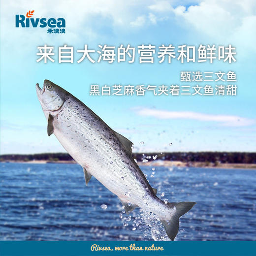 禾泱泱 三文鱼QQ鱼棒 30g 商品图2