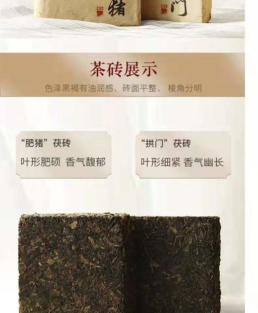泾渭茯茶生肖茶 肥猪拱门660g*2 商品图10