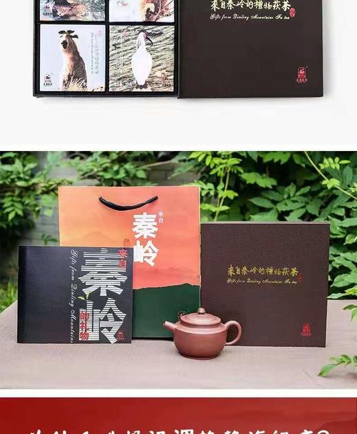 泾渭茯茶来自秦岭山的礼物200g*4茯茶礼盒 商品图8