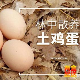 田园生态土鸡蛋（两盒起送）