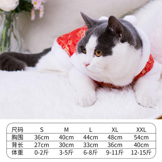 小猫咪衣服宠物猫秋冬新年唐装蓝猫加菲狗狗衣服冬季加厚保暖棉衣 商品图3