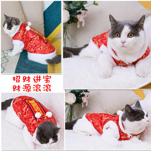 小猫咪衣服宠物猫秋冬新年唐装蓝猫加菲狗狗衣服冬季加厚保暖棉衣 商品图4