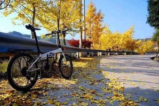 【93车友冬游季】泉心泉意-自驾赏四明秋色泡阳明温泉 商品图1