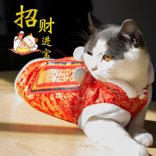 小猫咪衣服宠物猫秋冬新年唐装蓝猫加菲狗狗衣服冬季加厚保暖棉衣 商品图0