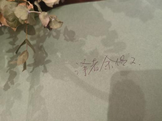 【签名版】植物风格 我的植物生活新提案 阿兰娜兰根 著 室内植物教科书 养护和设计  中信出版社图书 正版书籍 商品图6