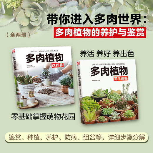 多肉植物完全图鉴+多肉植物这样养 生活 商品图0