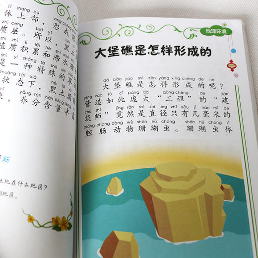 中国少年少儿百科全4册 彩绘注音版地理环境生活常识儿童百科大全小学生版科普书籍 商品图2