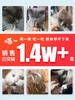 路斯猫薄荷小鱼干50g*2盒 商品缩略图1