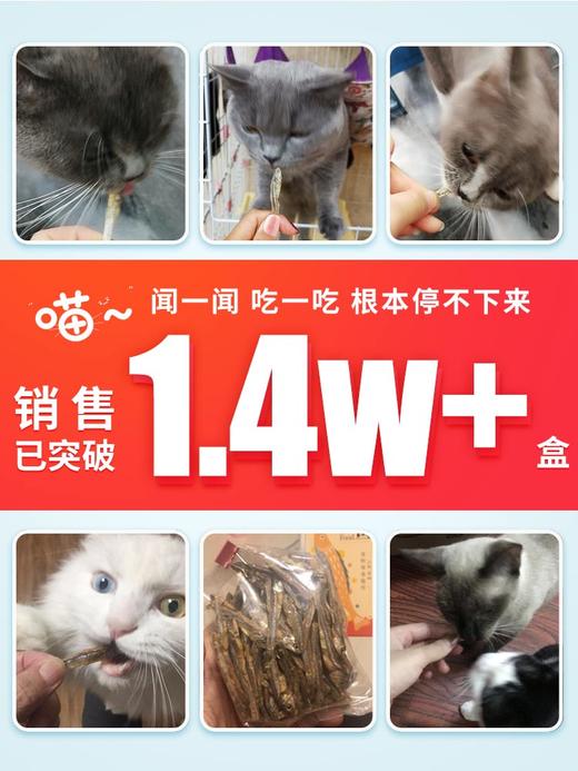 路斯猫薄荷小鱼干50g*2盒 商品图1
