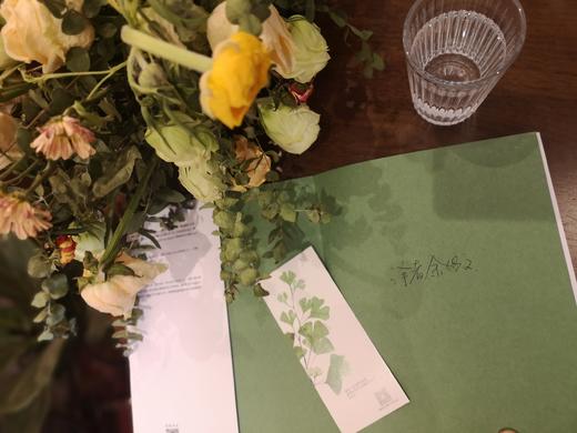 【签名版】植物风格 我的植物生活新提案 阿兰娜兰根 著 室内植物教科书 养护和设计  中信出版社图书 正版书籍 商品图5