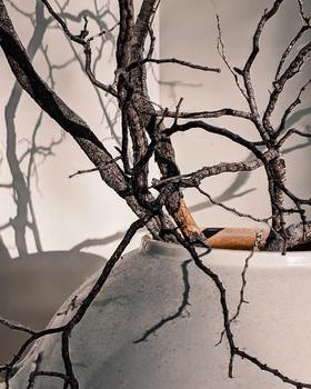 猜谜游戏2月27日答案