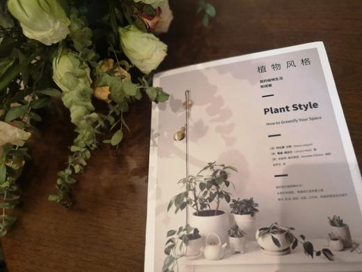 【签名版】植物风格 我的植物生活新提案 阿兰娜兰根 著 室内植物教科书 养护和设计  中信出版社图书 正版书籍 商品图3