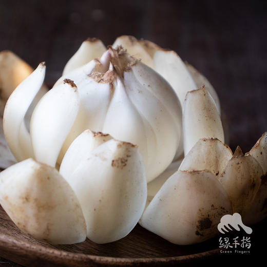 生态鲜兰州9年百合团购（临期） | 合作生产*Eco-Lanzhou Lily | Coproduction 商品图0