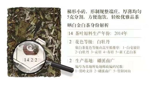 晒白金1422紧压白牡丹360克 商品图3