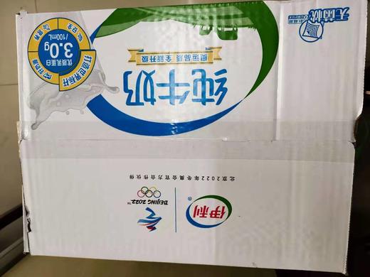 【百汇到家】伊利利乐枕纯牛奶240ml*16袋 商品图0