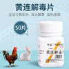 华畜兽药 黄连解毒片猪牛羊鸡鸭兔禽用兽用泻火解毒清热 燥热 商品缩略图7