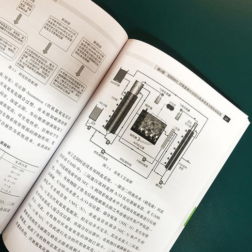 垃圾渗滤液新型处理技术及应用 商品图5