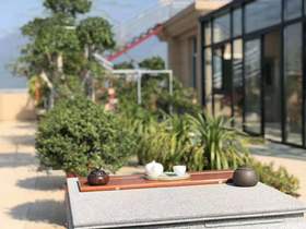 红桥红  家具严选  缅甸花梨(大果紫檀）  【沉铜茶盘】