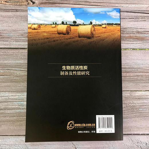 生物质活性炭制备及性能研究 商品图2