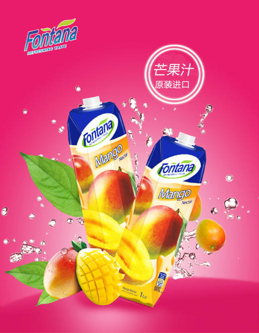 0#芬特乐牌芒果汁饮料  1l 商品图0