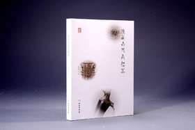 国宝传奇：陕西古代青铜器