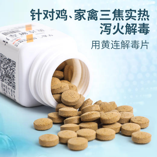 华畜兽药 黄连解毒片猪牛羊鸡鸭兔禽用兽用泻火解毒清热 燥热 商品图4