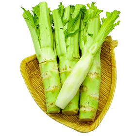棒棒菜