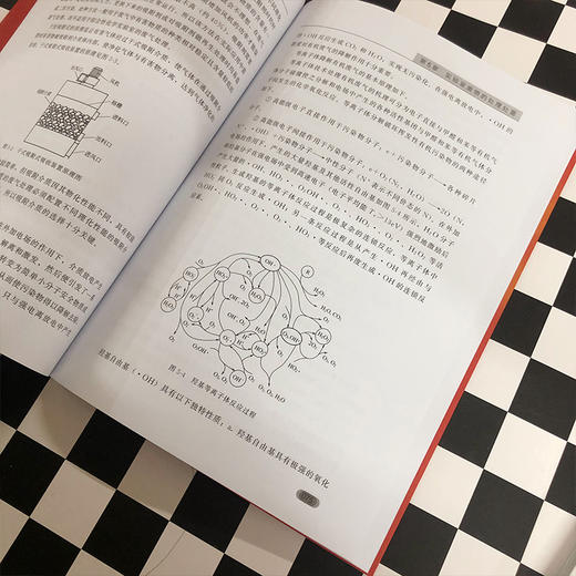 实验室废物处理处置与管理 商品图3