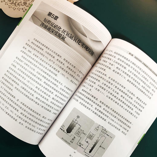 垃圾渗滤液新型处理技术及应用 商品图4