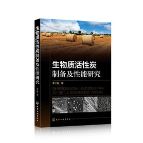 生物质活性炭制备及性能研究