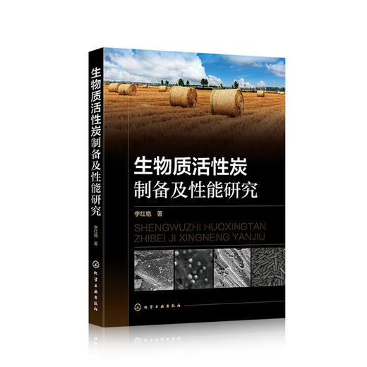生物质活性炭制备及性能研究 商品图0