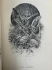 1875年 儒勒·米什莱《虫》 140幅精美版画插图 漆布精装18开 商品缩略图9