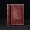 1875年 儒勒·米什莱《虫》 140幅精美版画插图 漆布精装18开 商品缩略图0