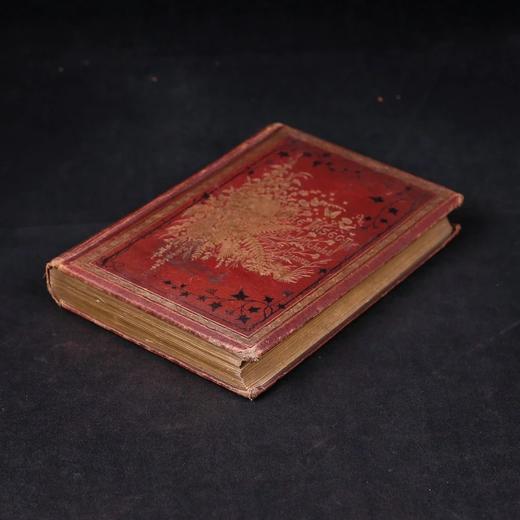 1875年 儒勒·米什莱《虫》 140幅精美版画插图 漆布精装18开 商品图2