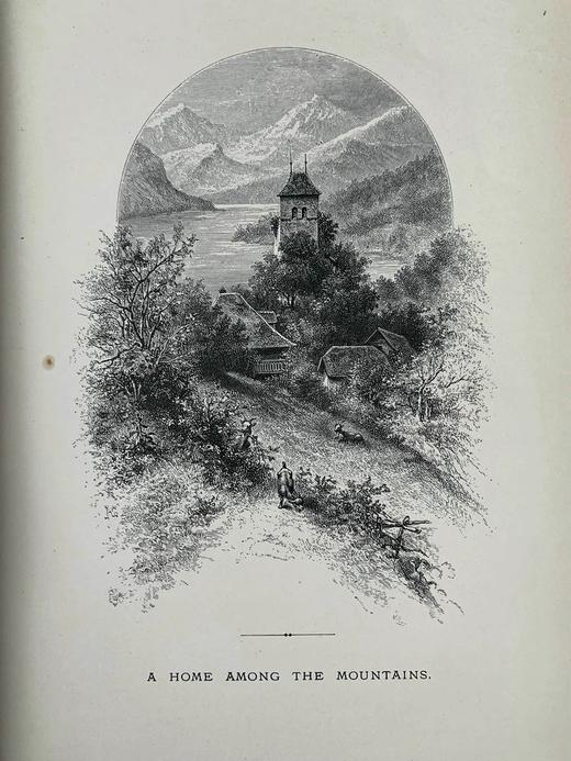 1875年 儒勒·米什莱《虫》 140幅精美版画插图 漆布精装18开 商品图7