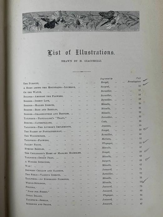1875年 儒勒·米什莱《虫》 140幅精美版画插图 漆布精装18开 商品图4