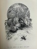 1875年 儒勒·米什莱《虫》 140幅精美版画插图 漆布精装18开 商品缩略图11