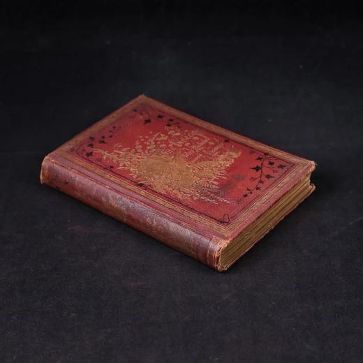1875年 儒勒·米什莱《虫》 140幅精美版画插图 漆布精装18开 商品图1