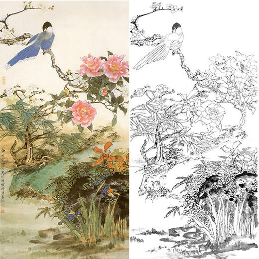 田世光工笔竖幅花鸟白描底稿-《早春竞艳》-多种白描尺寸可选-SG74 商品图0