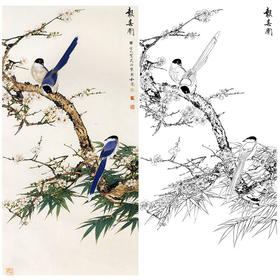 田世光工笔竖幅花鸟白描底稿-《报春图》-多种白描尺寸可选-SG64