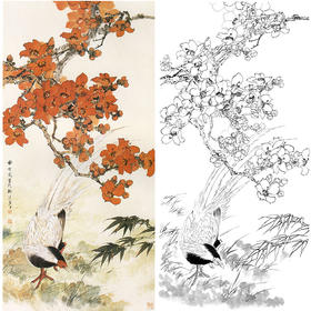 田世光工笔竖幅花鸟白描底稿-《岭南春色》-多种白描尺寸可选-SG57