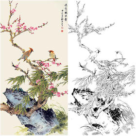田世光工笔竖幅花鸟白描底稿-SG69
