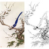 田世光工笔竖幅花鸟白描底稿-《白眉长寿》-多种白描尺寸可选-SG63 商品缩略图0