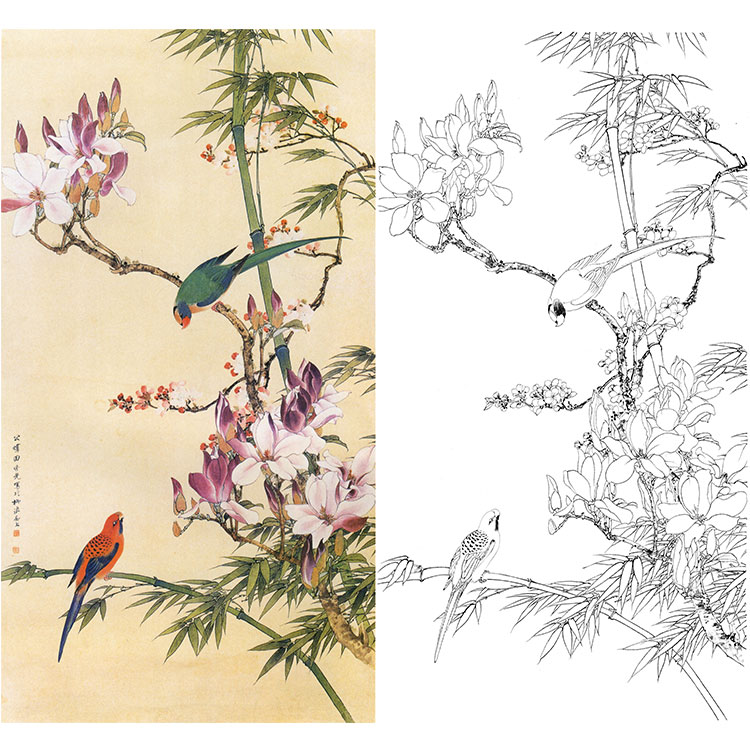 田世光工笔竖幅花鸟白描底稿-《辛夷双鹦》-多种白描尺寸可选-SG72